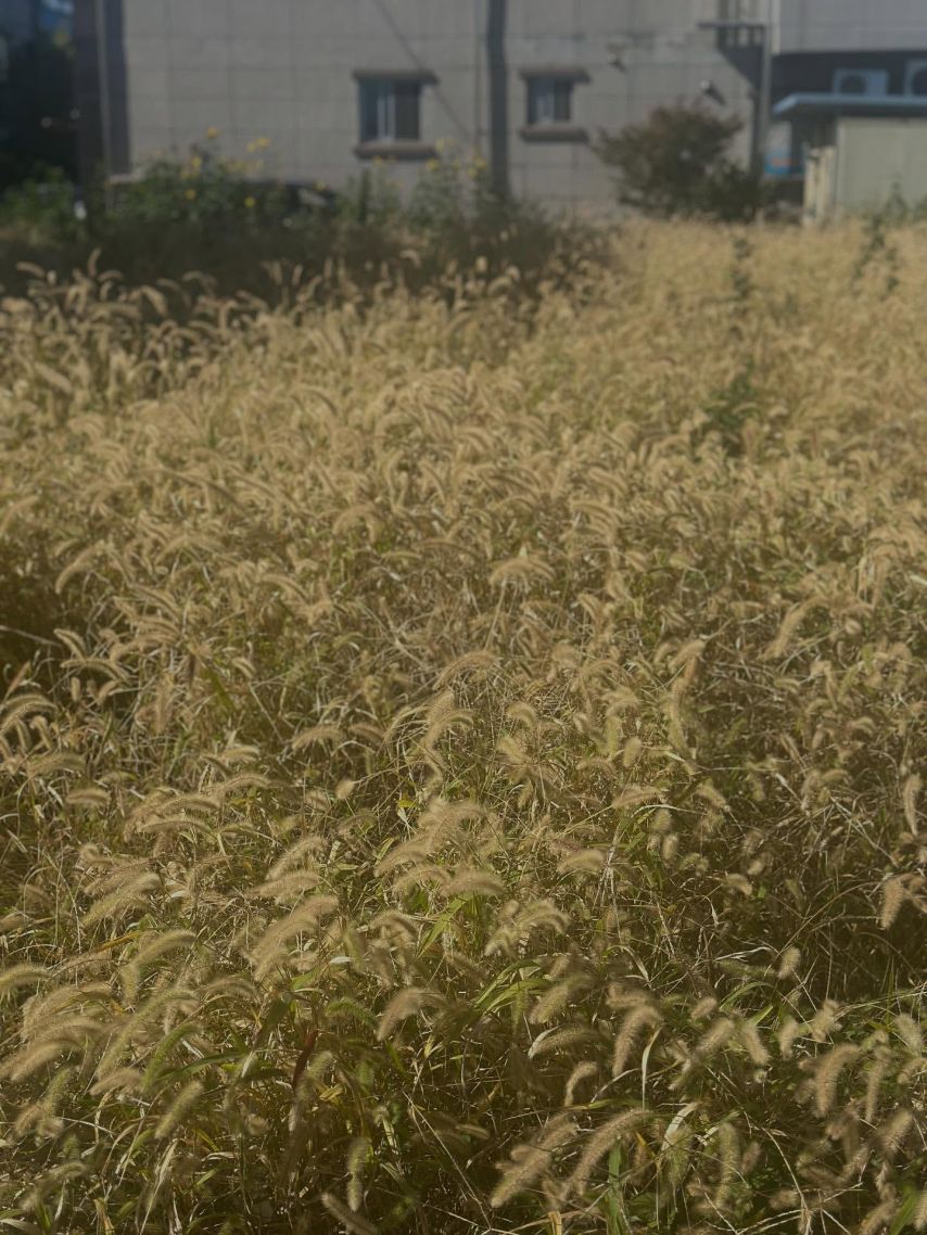 류현경 인스타1_15.jpeg