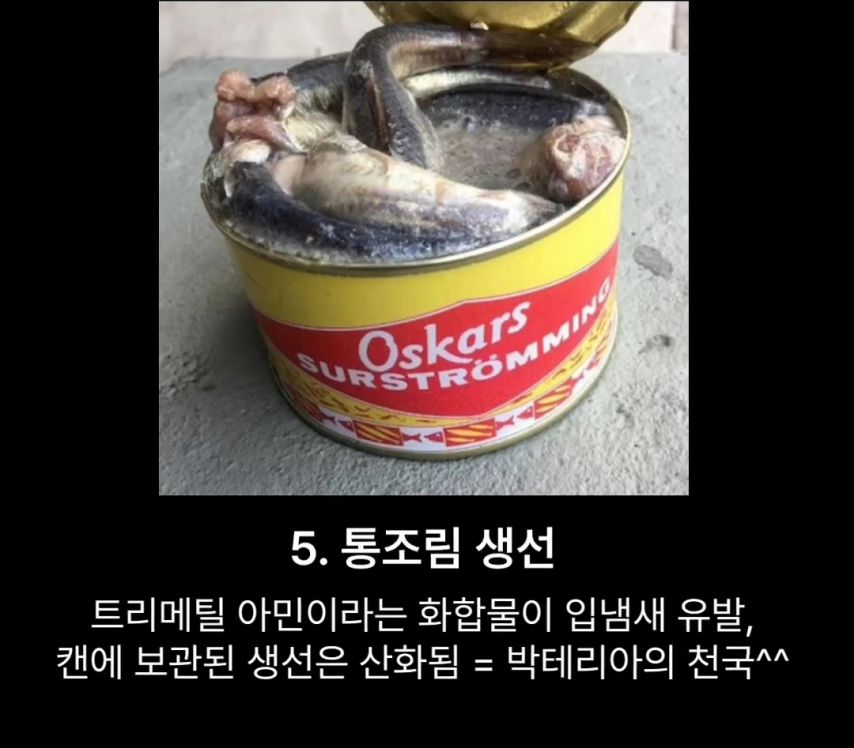 김짤닷컴_001.jpg