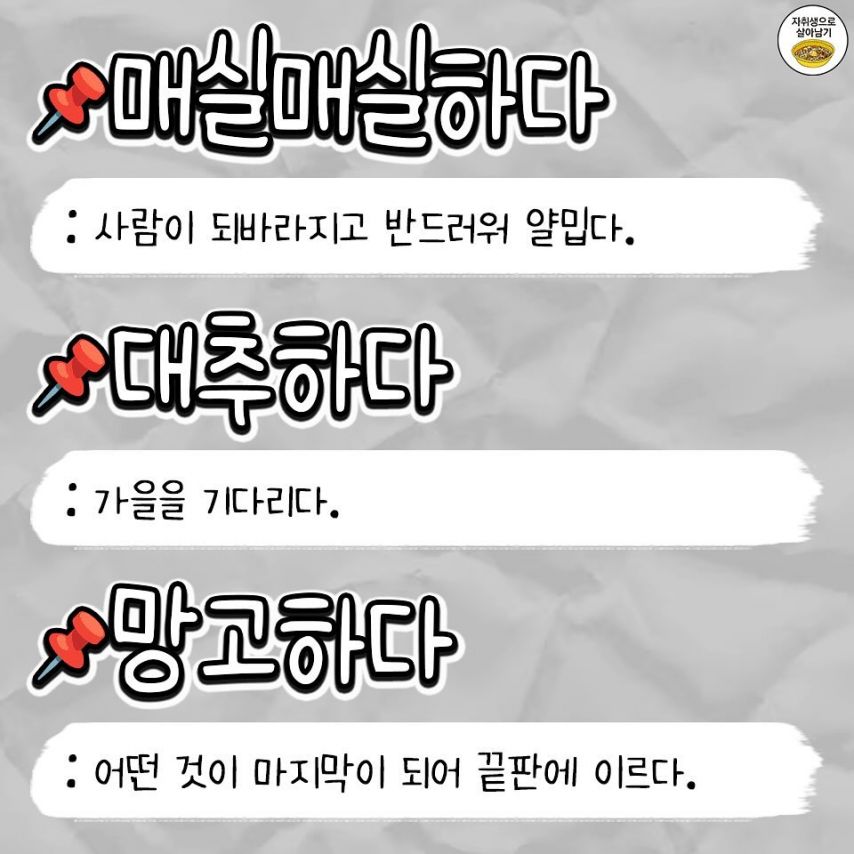 김짤닷컴_003.jpg