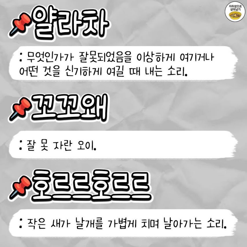 김짤닷컴_006.jpg