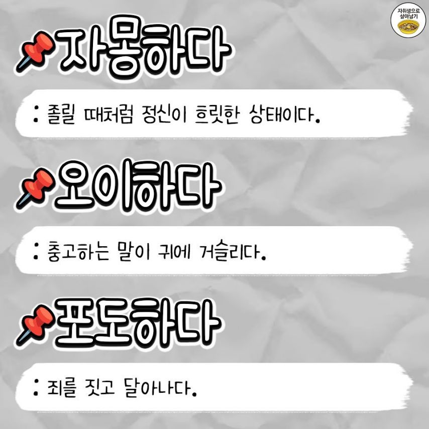 김짤닷컴_002.jpg