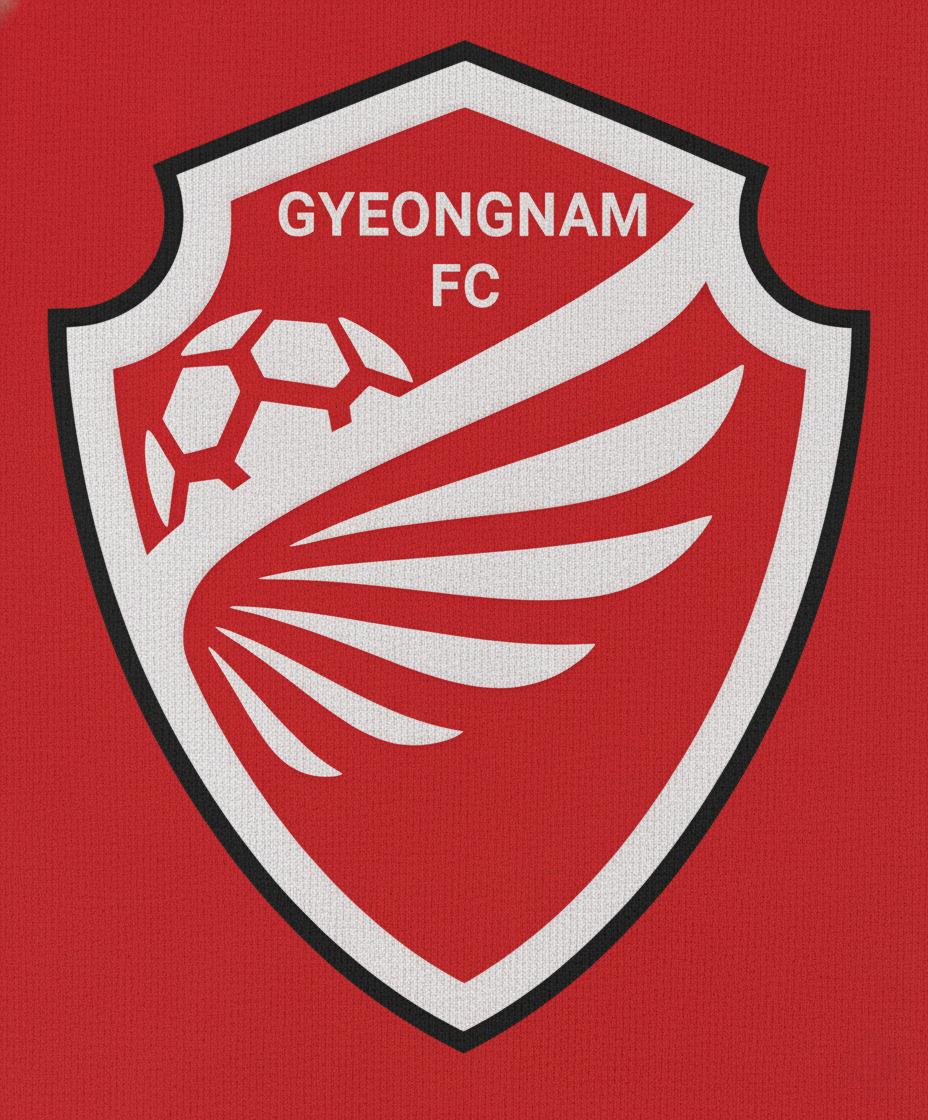 GYEONGNAM FOOTBALL CLUB 1.jpg