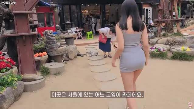 고양이카페 원피스녀1.gif