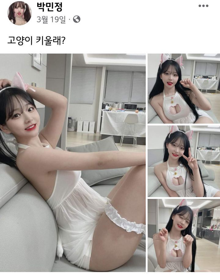 박민정 고양이1.jpeg