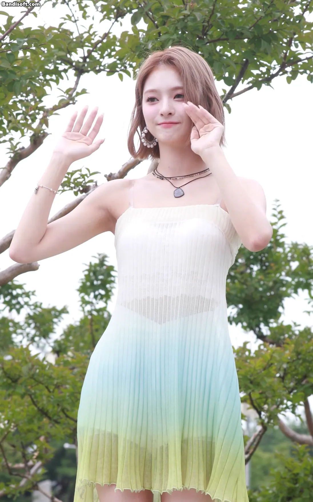 12.webp