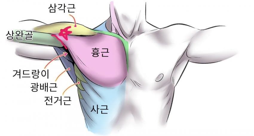 내가 겨드랑이 중요 포인트 알려드림_108968_1.jpg