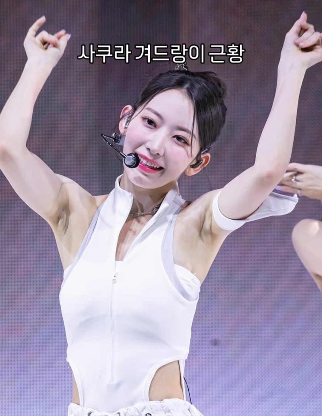 사쿠라_116488_1.jpg