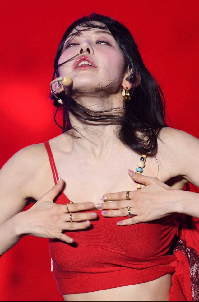 사쿠라_117876_2.jpg