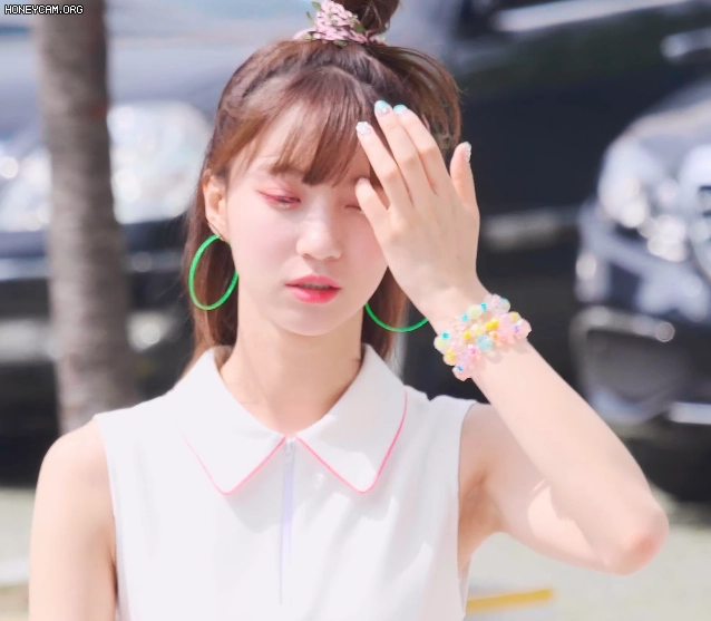 19.webp