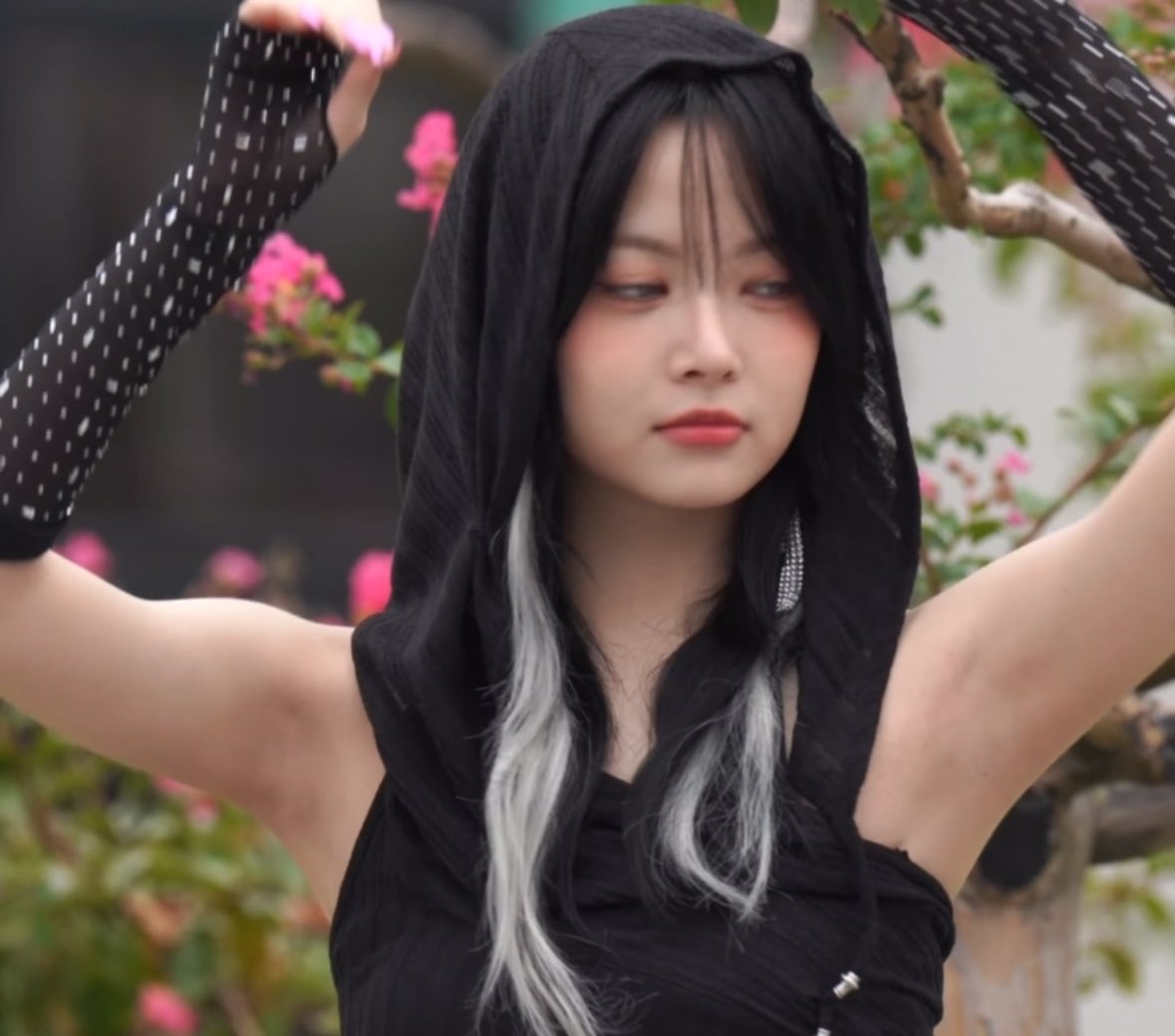 만채_118424_1.jpg