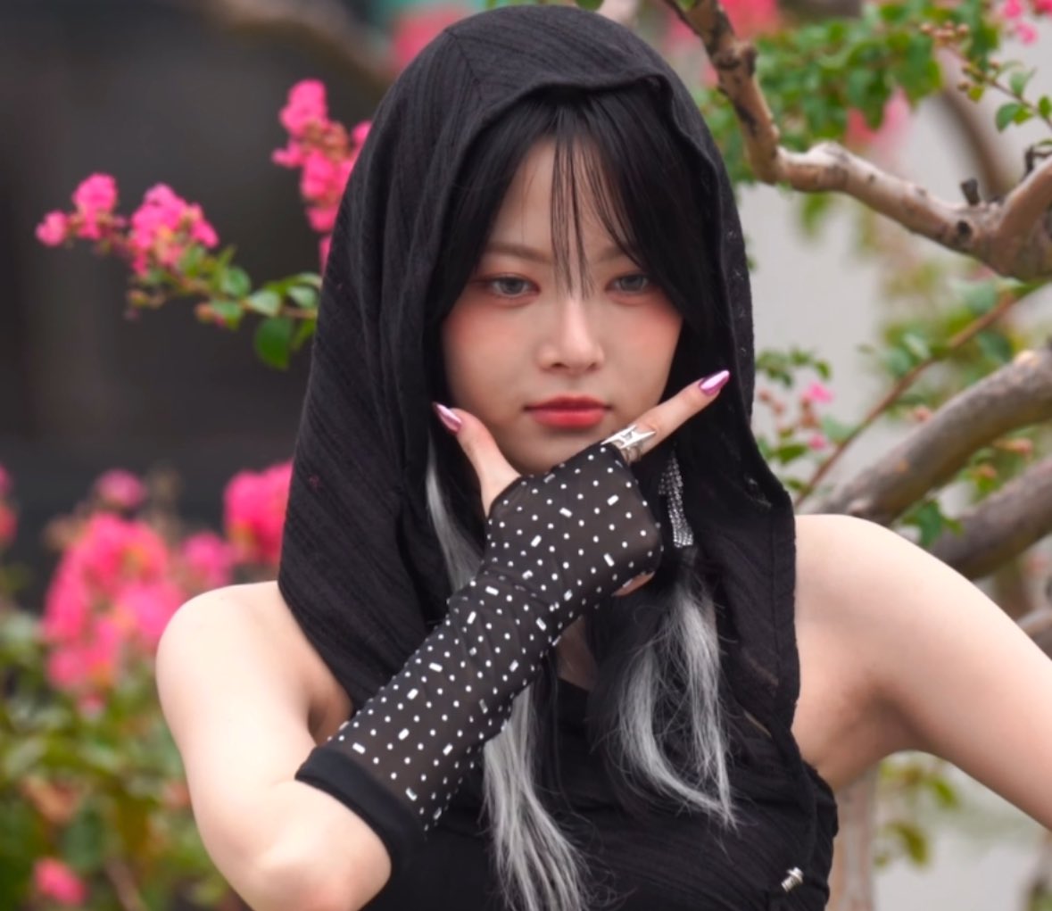 만채_118424_3.jpg