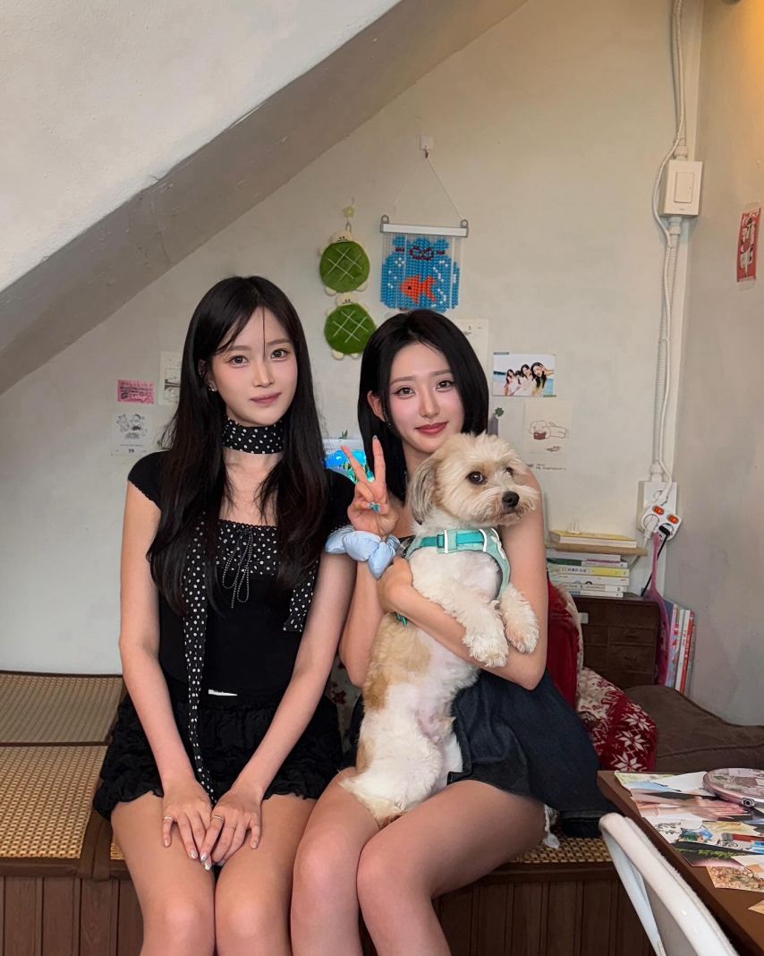 하이키 서이 휘서1_1.jpg