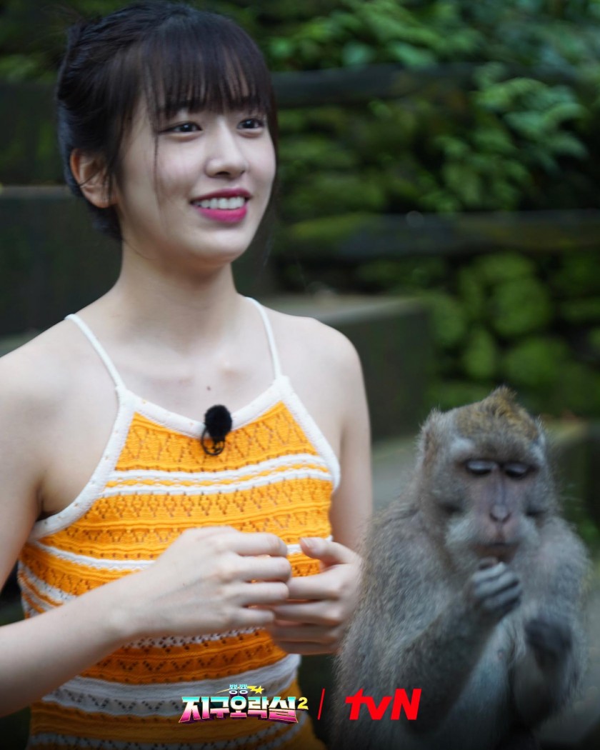 원숭이와 안댕댕 안유진 2.jpg