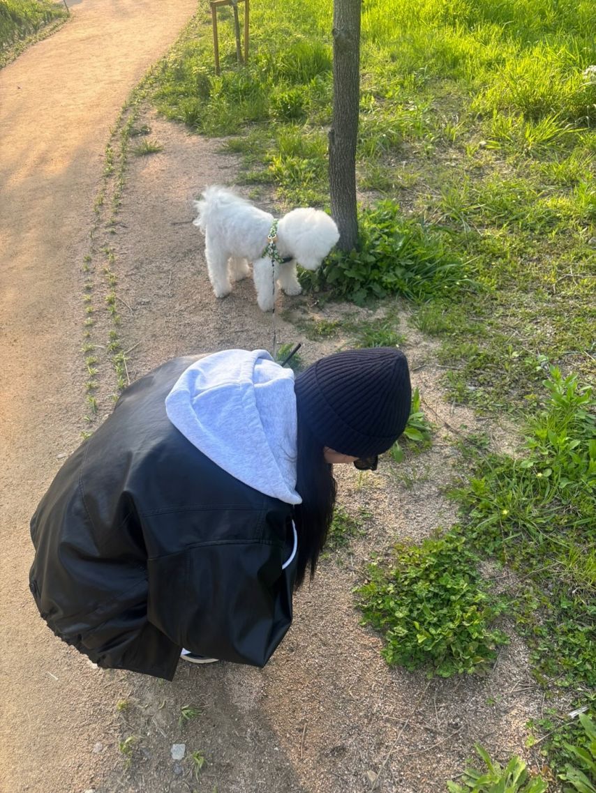 정채연 인별1_11.jpg