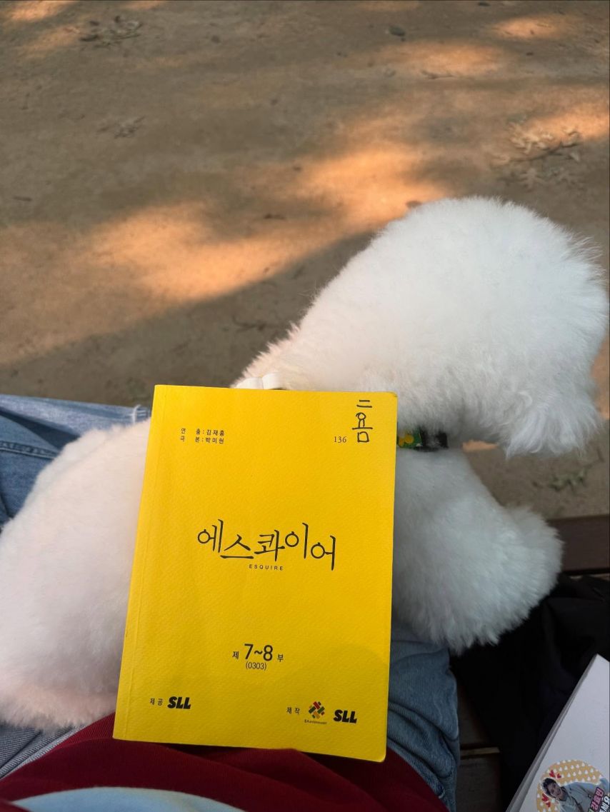 정채연 인별1_7.jpg