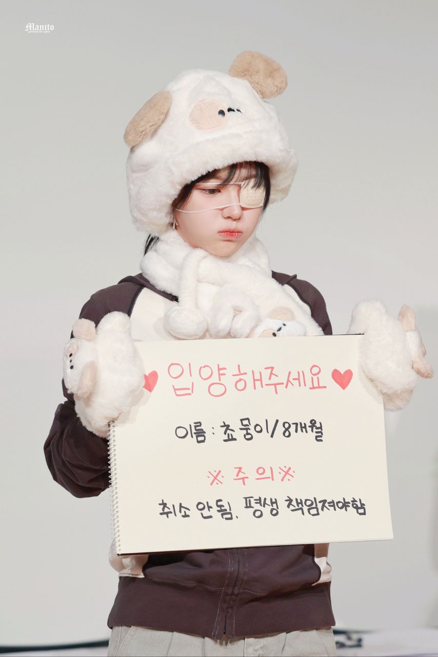 QWER 쵸단 분양 완료1_1.jpg