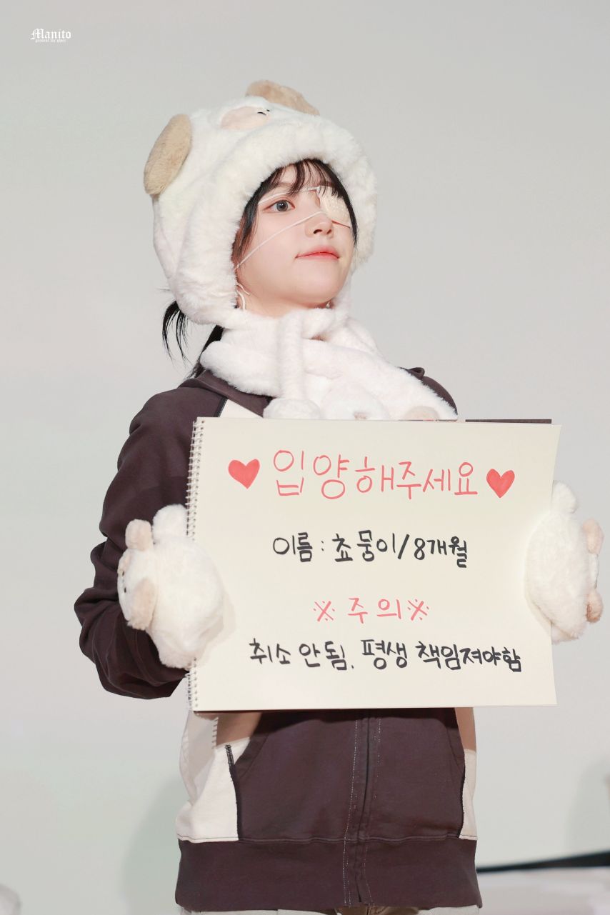 QWER 쵸단 분양 완료1_2.jpg