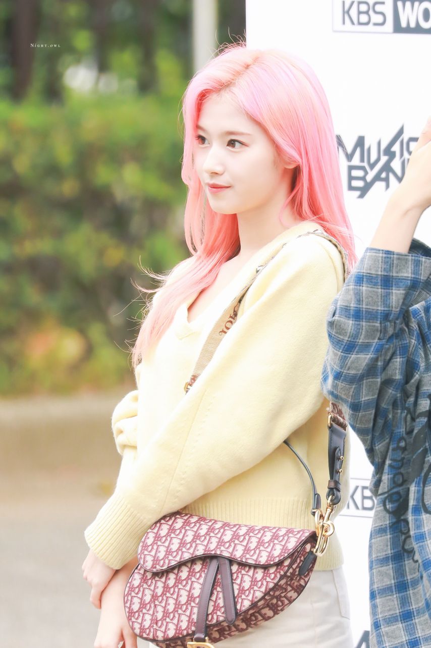 트와이스 사나2_4.jpg