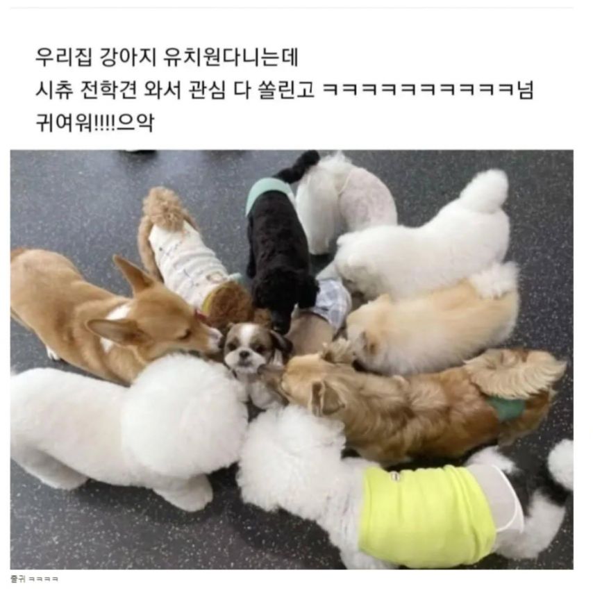 르세라핌 허윤진1_3.jpg