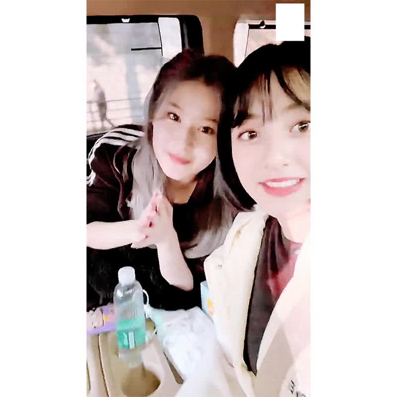 트와이스 똑단발 지효와 리본 사나 2.gif