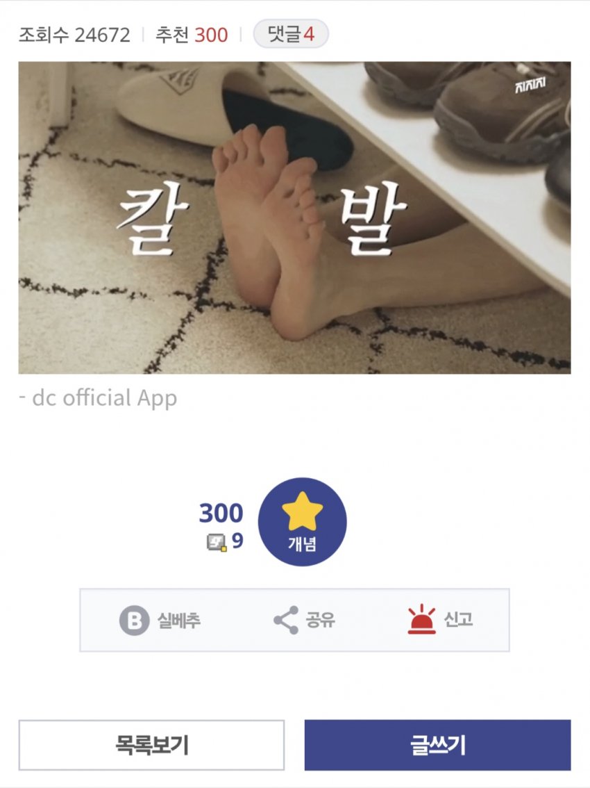 (개추 300개 레전드) 츄 발바닥 다시보기_53061_1.jpg