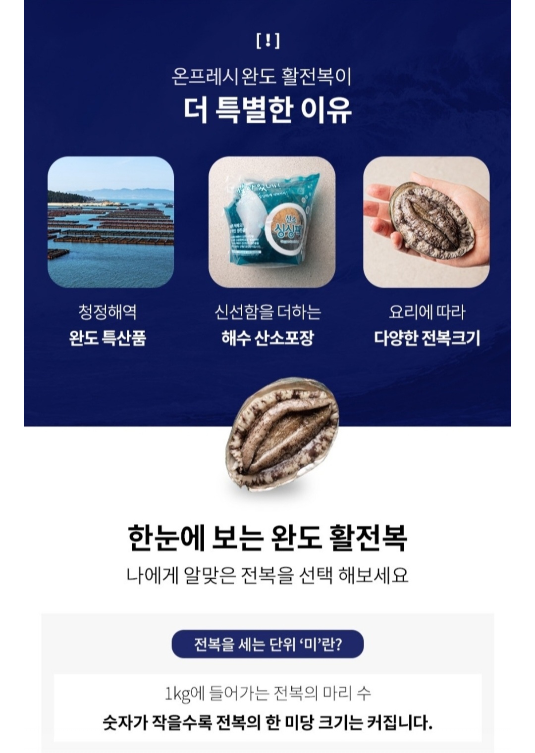 KakaoTalk_20250516_192448752.jpg