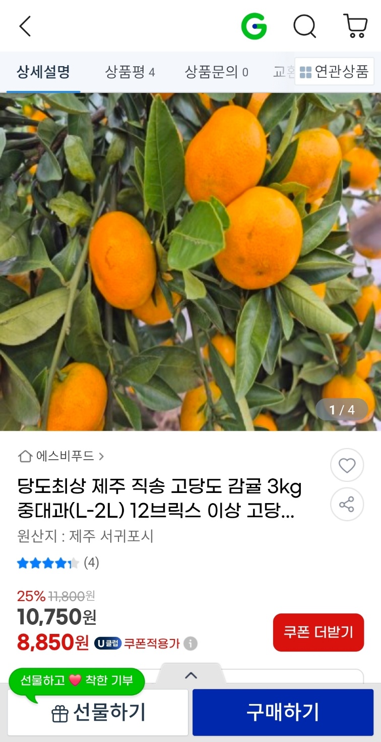 KakaoTalk_20241119_172730777_02.jpg