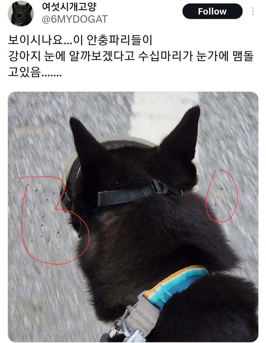 24post.co.kr_004.png.jpg