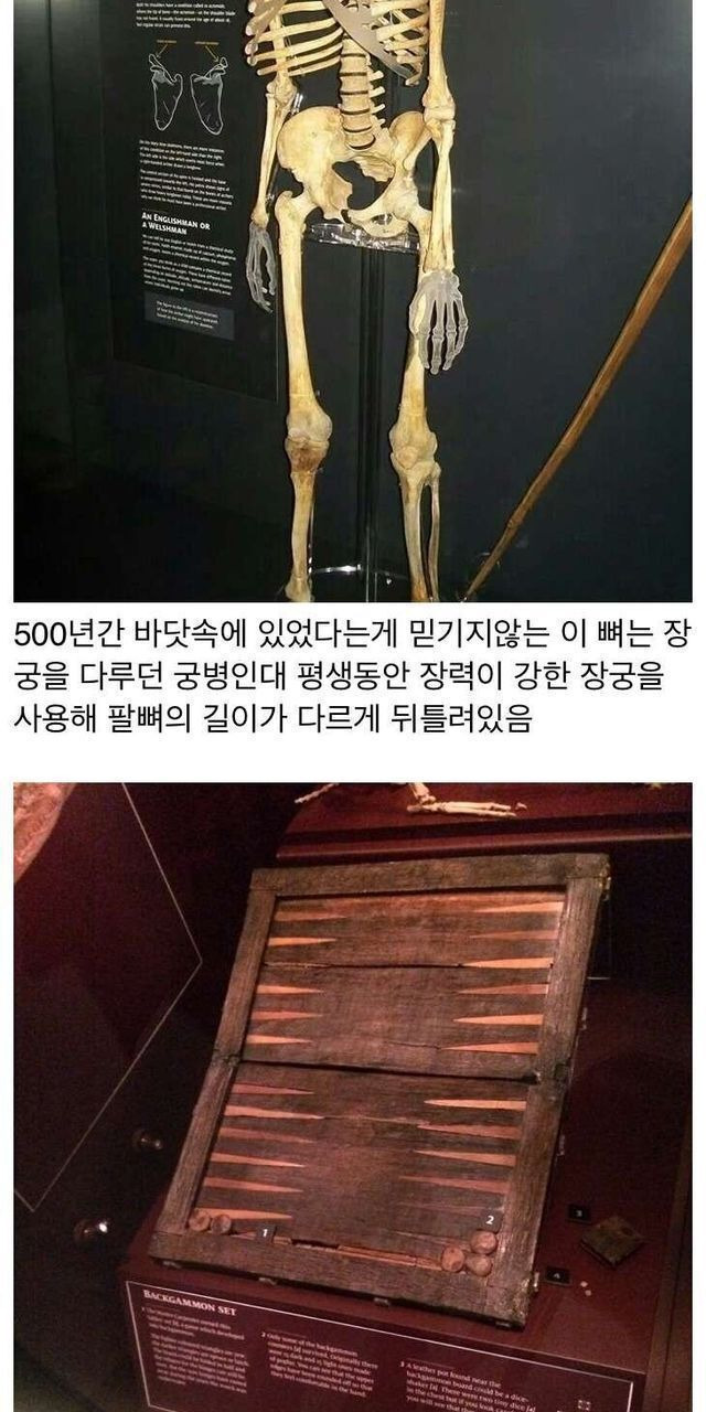 무려 500년만에 발견된 영국 배3.jpg