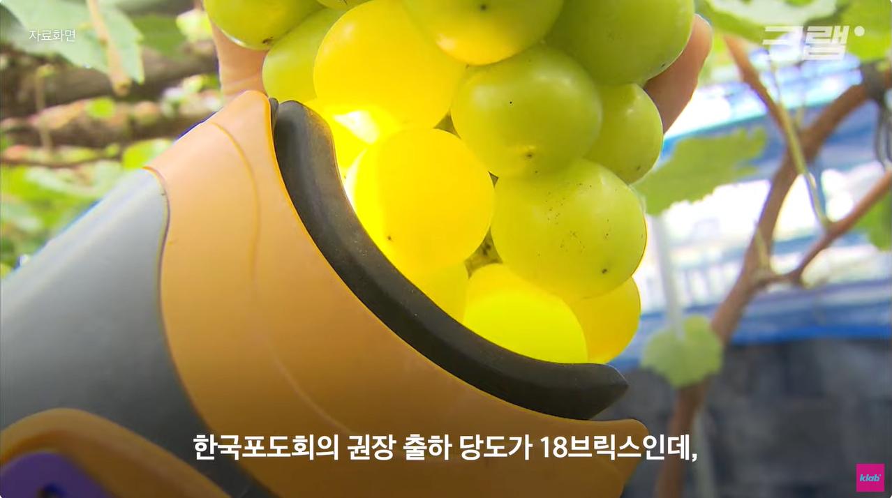 김짤닷컴_021.png.jpg