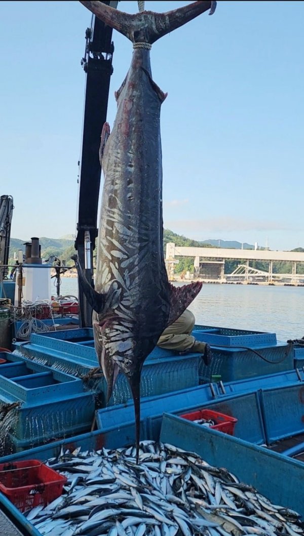 24post.co.kr_004.jpg