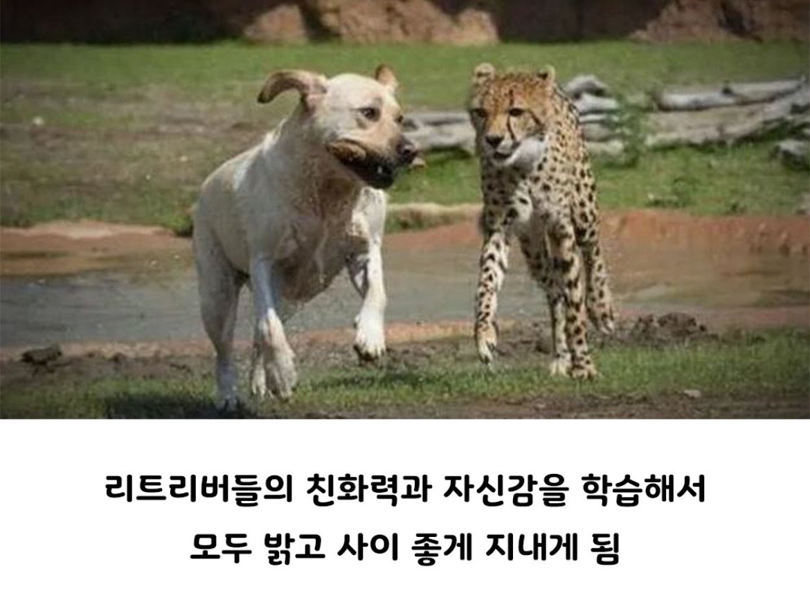 P_007.jpg