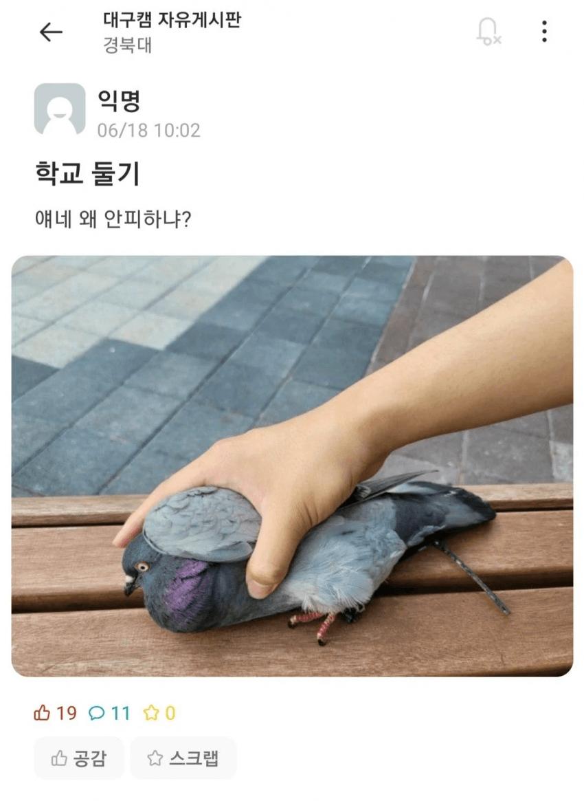 김짤닷컴_023.png.jpg