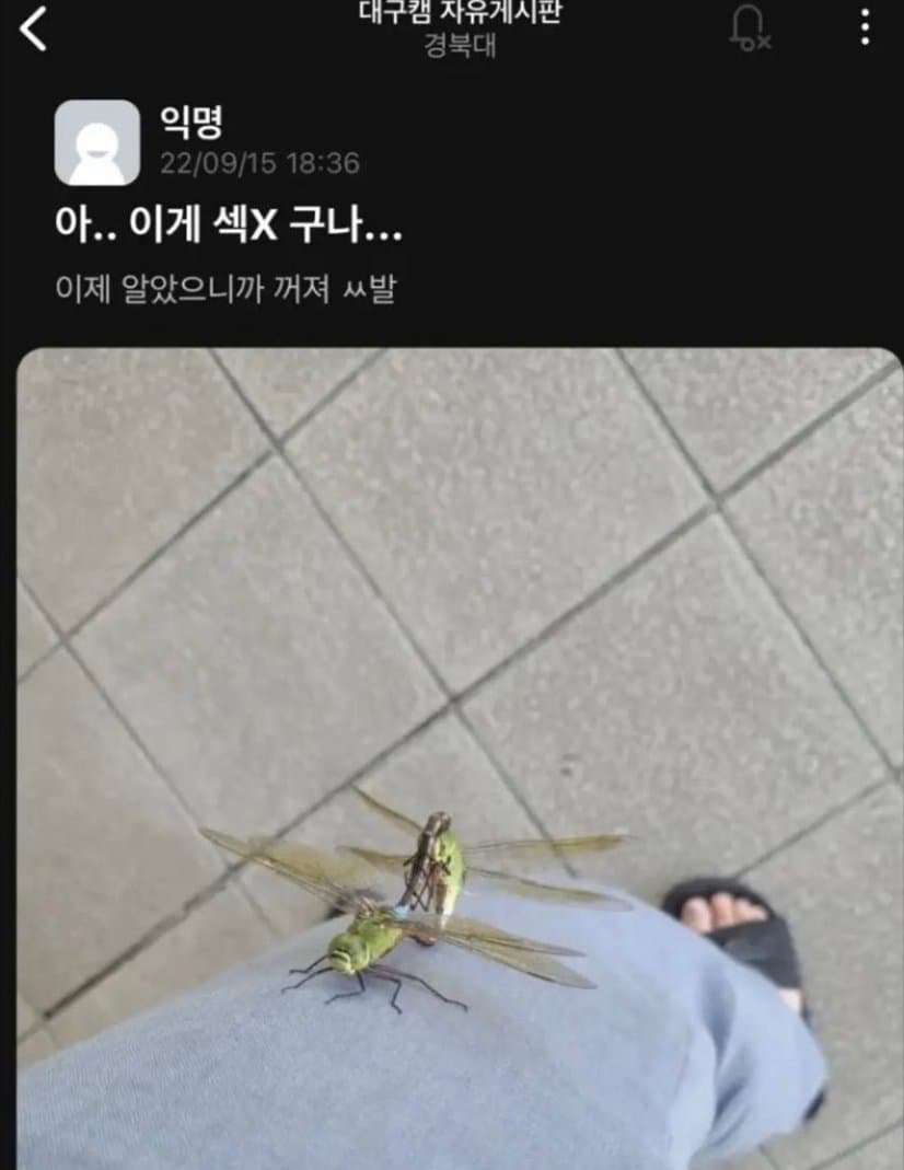 김짤닷컴_003.jpg