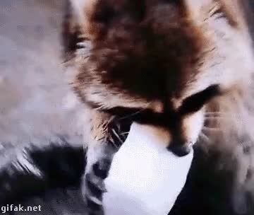 b.gif