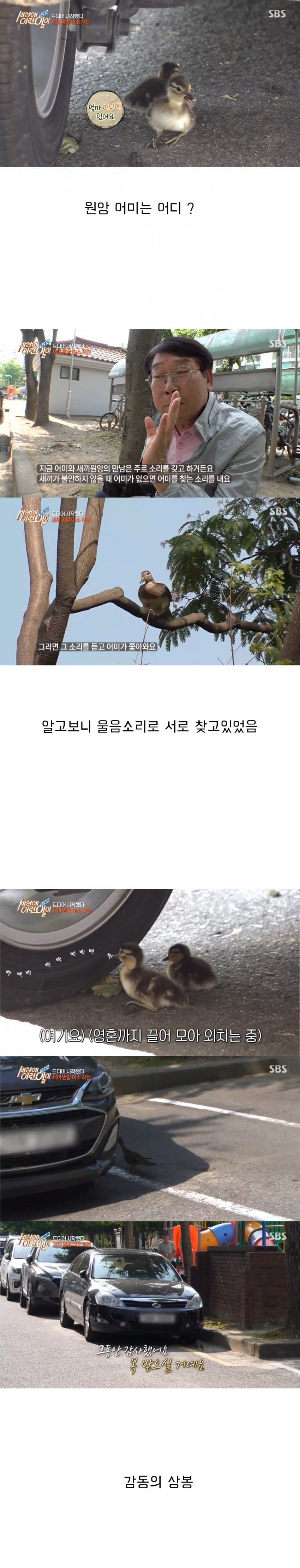 세상에 이런일이 반전 레전드 10.jpeg