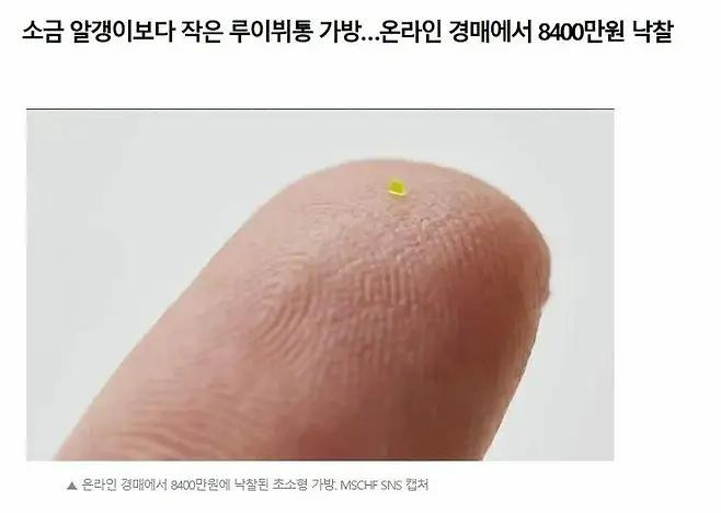 온라인에서 8400만원에 낙찰된 루이뷔통 가방1.jpg