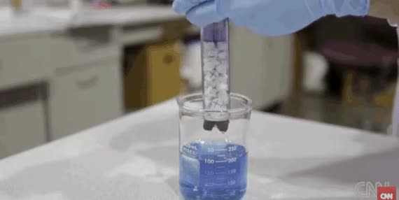 12.gif