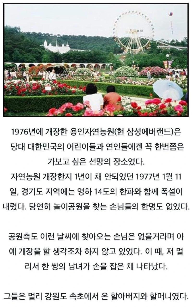 에버랜드 역사상 가장 적은 입장객이 온 날1.webp.jpg
