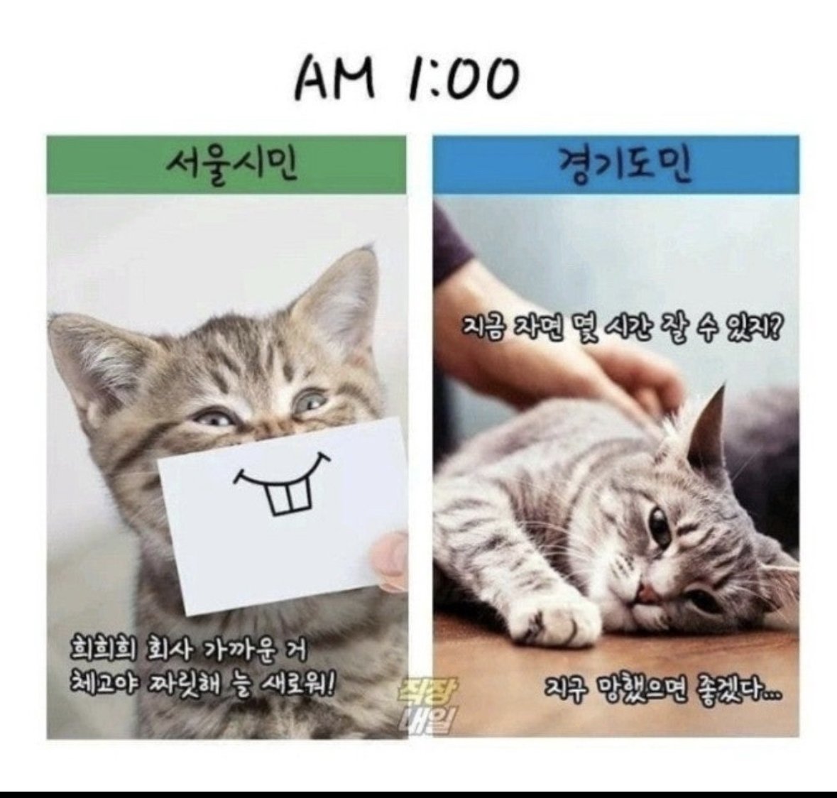 IMG_3637.jpeg
