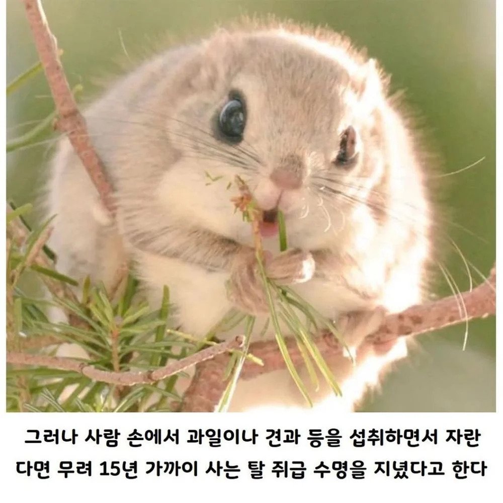 24post.co.kr_005.jpg