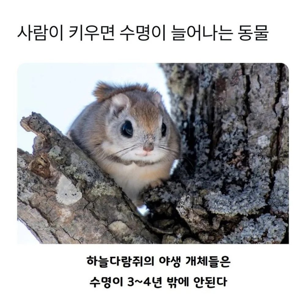 24post.co.kr_003.jpg