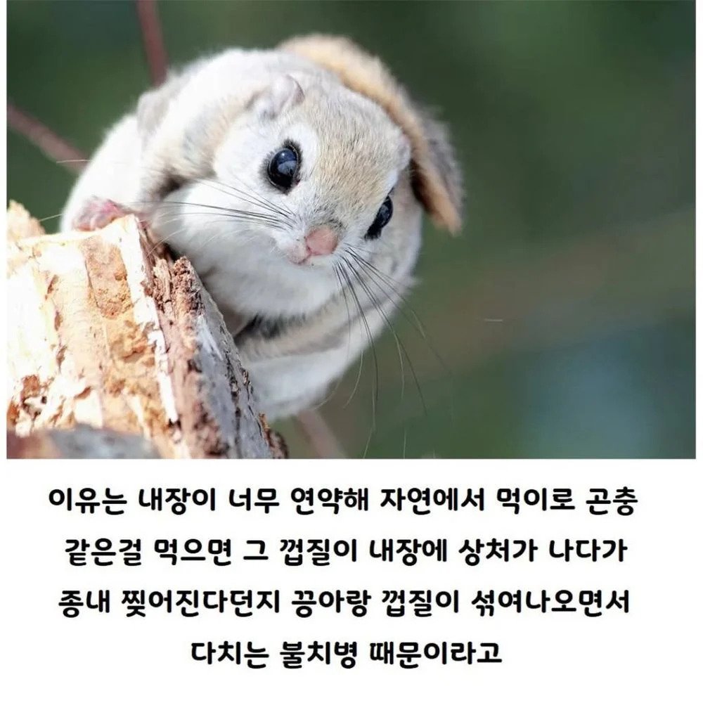 24post.co.kr_004.jpg