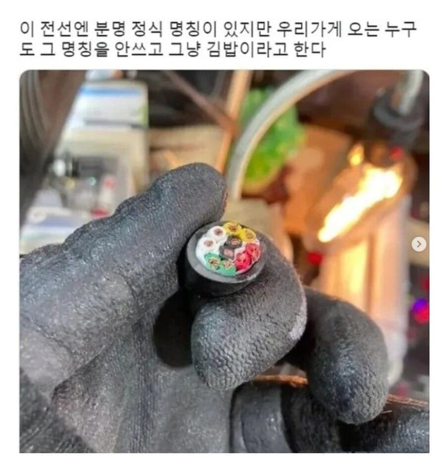 전기계의 누네띠네1.jpg