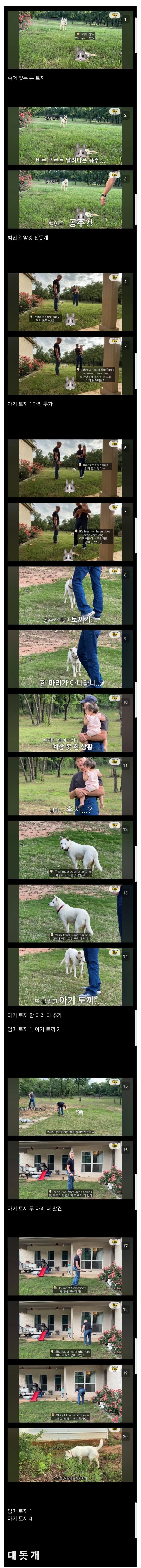 thumb_crop_resize (1).webp.ren.jpg