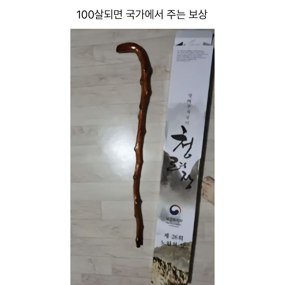 대한민국섭 36,500일 출석 보상1.jpg