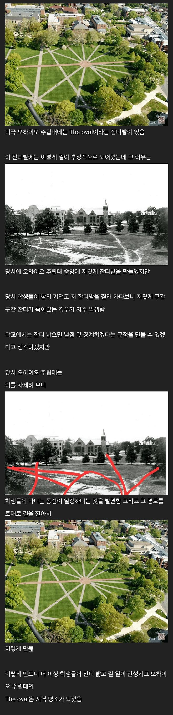 학생들이 잔디밭을 밟자 학교에서 취한 조치1.jpg