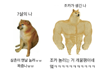 이모, 삼촌이 되고나서 깨달은 진실.png