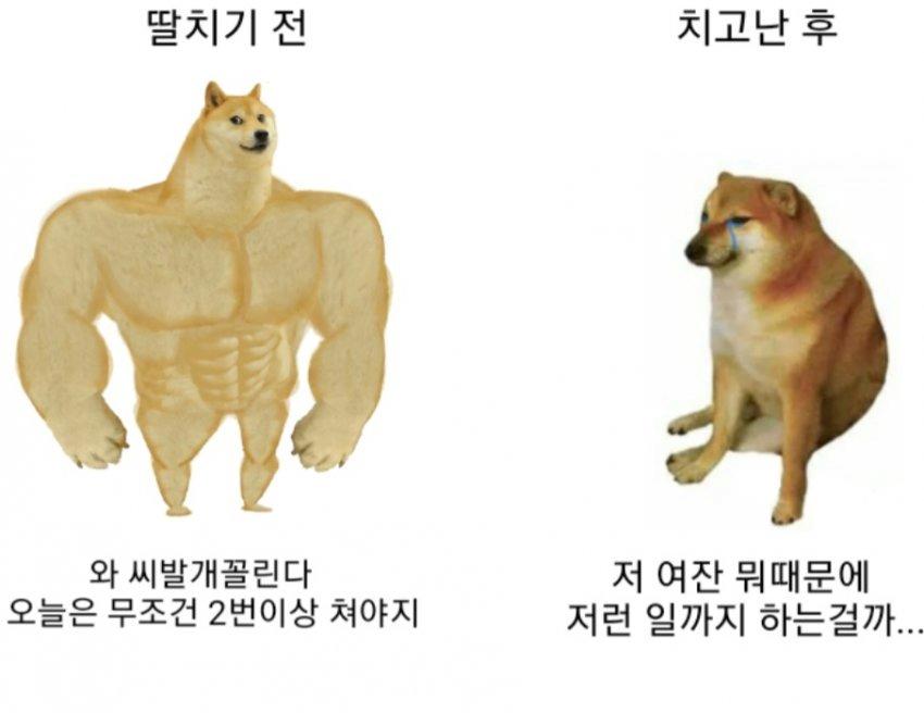image.png.jpg