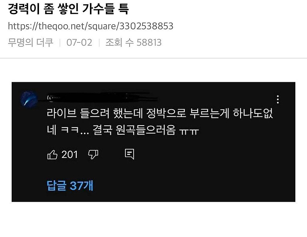 생각보다 많은 사람들이 콘서트에 가서 실망하는 부분4.jpg
